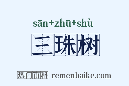 三珠树是什么意思的图片